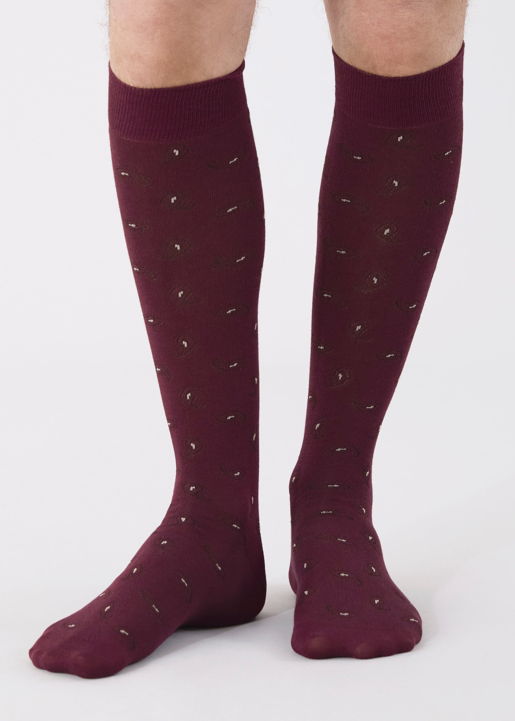 Calza lunga in cotone bordeaux con motivo paisley all over da uomo.